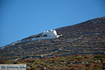 JustGreece.com Chora Folegandros - Island of Folegandros - Cyclades - Photo 4 - Foto van JustGreece.com