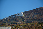 Chora Folegandros - Island of Folegandros - Cyclades - Photo 4 - Photo JustGreece.com