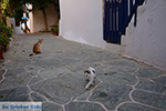 JustGreece.com Chora Folegandros - Island of Folegandros - Cyclades - Photo 14 - Foto van JustGreece.com