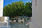 Chora Folegandros - Island of Folegandros - Cyclades - Photo 19 - Photo JustGreece.com
