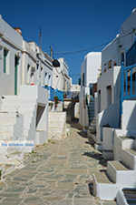 Chora Folegandros - Island of Folegandros - Cyclades - Photo 41 - Photo JustGreece.com