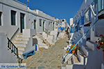 Chora Folegandros - Island of Folegandros - Cyclades - Photo 43 - Photo JustGreece.com