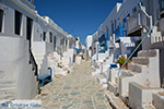 Chora Folegandros - Island of Folegandros - Cyclades - Photo 87 - Photo JustGreece.com