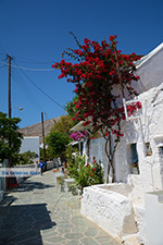 Chora Folegandros - Island of Folegandros - Cyclades - Photo 103 - Photo JustGreece.com