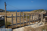 Island of Folegandros - Cyclades - Photo 114 - Photo JustGreece.com