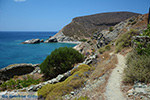 Aghios Nikolaos beach near Angali Folegandros -  Cyclades - Photo 170 - Photo JustGreece.com
