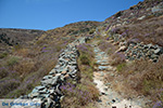 Folegandros - Island of Folegandros - Cyclades - Photo 192 - Photo JustGreece.com