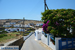 Ano Meria Folegandros - Island of Folegandros - Cyclades - Photo 198 - Photo JustGreece.com