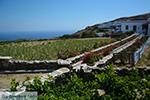 Ano Meria Folegandros - Island of Folegandros - Cyclades - Photo 203 - Photo JustGreece.com