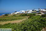 JustGreece.com Ano Meria Folegandros - Island of Folegandros - Cyclades - Photo 209 - Foto van JustGreece.com
