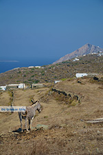 Ano Meria Folegandros - Island of Folegandros - Cyclades - Photo 218 - Photo JustGreece.com