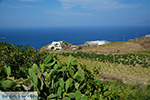 Ano Meria Folegandros - Island of Folegandros - Cyclades - Photo 220 - Photo JustGreece.com