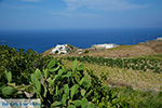 JustGreece.com Ano Meria Folegandros - Island of Folegandros - Cyclades - Photo 220 - Foto van JustGreece.com