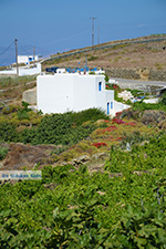 JustGreece.com Ano Meria Folegandros - Island of Folegandros - Cyclades - Photo 229 - Foto van JustGreece.com