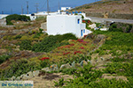 JustGreece.com Ano Meria Folegandros - Island of Folegandros - Cyclades - Photo 230 - Foto van JustGreece.com