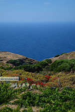 Ano Meria Folegandros - Island of Folegandros - Cyclades - Photo 232 - Photo JustGreece.com