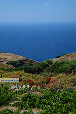 JustGreece.com Ano Meria Folegandros - Island of Folegandros - Cyclades - Photo 232 - Foto van JustGreece.com