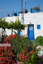 JustGreece.com Ano Meria Folegandros - Island of Folegandros - Cyclades - Photo 235 - Foto van JustGreece.com