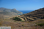 JustGreece.com Ano Meria Folegandros - Island of Folegandros - Cyclades - Photo 239 - Foto van JustGreece.com