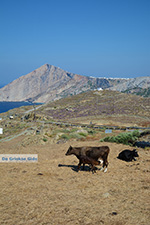 JustGreece.com Ano Meria Folegandros - Island of Folegandros - Cyclades - Photo 242 - Foto van JustGreece.com