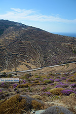 Folegandros - Island of Folegandros - Cyclades - Photo 251 - Photo JustGreece.com