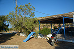 Livadi Folegandros - Island of Folegandros - Cyclades - Photo 271 - Photo JustGreece.com