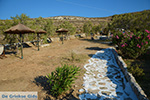 Livadi Folegandros - Island of Folegandros - Cyclades - Photo 273 - Photo JustGreece.com