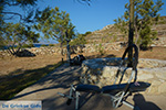 Livadi Folegandros - Island of Folegandros - Cyclades - Photo 274 - Photo JustGreece.com