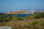 Livadi Folegandros - Island of Folegandros - Cyclades - Photo 277 - Photo JustGreece.com