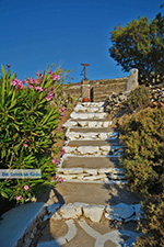 Livadi Folegandros - Island of Folegandros - Cyclades - Photo 278 - Photo JustGreece.com