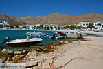 Karavostasis Folegandros - Island of Folegandros - Cyclades - Photo 305 - Photo JustGreece.com