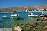 Karavostasis Folegandros - Island of Folegandros - Cyclades - Photo 318 - Photo JustGreece.com