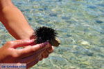 JustGreece.com Gramvoussa (Gramvousa) Crete - Greece  Photo 89 - Foto van JustGreece.com