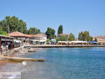 Agria Pilion - Magnesia - Thessaly - Greece  001 - Photo JustGreece.com