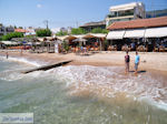 Agria Pilion - Magnesia - Thessaly - Greece  003 - Photo JustGreece.com