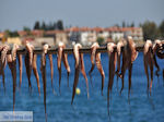 Agria Pilion - Magnesia - Thessaly - Greece  005 - Foto van JustGreece.com