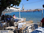 Agria Pilion - Magnesia - Thessaly - Greece  006 - Photo JustGreece.com