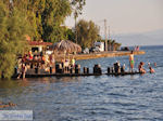 Agria Pilion - Magnesia - Thessaly - Greece  019 - Photo JustGreece.com