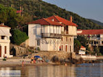 Chorto Pilion - Magnesia - Thessaly - Greece  007 - Photo JustGreece.com