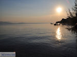 Chorto Pilion - Magnesia - Thessaly - Greece  008 - Foto van JustGreece.com