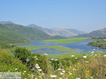 Wetland of Kalodiki (Epirus) Photo 3 - Photo JustGreece.com