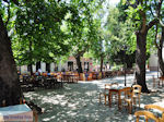 Lafkos Pilion - Magnesia - Thessaly - Greece  002 - Photo JustGreece.com