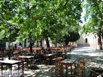 Lafkos Pilion - Magnesia - Thessaly - Greece  004 - Photo JustGreece.com