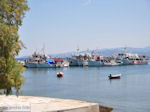 Platania Pilion - Magnesia - Thessaly - Greece  013 - Foto van JustGreece.com