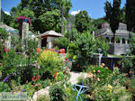 Tuin hotel Porfyron in Ano Pedina Photo 1 - Zagori Epirus - Photo JustGreece.com