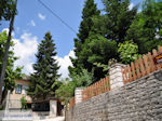 Monodendri near the Vikos gorge - Zagori Epirus - Photo JustGreece.com