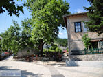 Centrale Square Monodendri - Zagori Epirus - Photo JustGreece.com