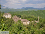 Groene nature Dilofo - Zagori Epirus - Photo JustGreece.com