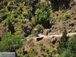 Vikos gorge vanuit Vikos Photo 5 - Zagori Epirus - Photo JustGreece.com