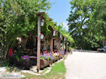 Restaurantje in the VillageVikos - Zagori Epirus - Photo JustGreece.com